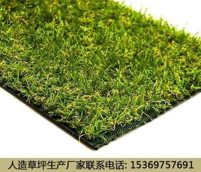 新闻 泰安人造草坪足球场铺装的厂家达县股份